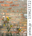 Brick wall and flowers. Alignment of yellow stones and flowers. 139623722