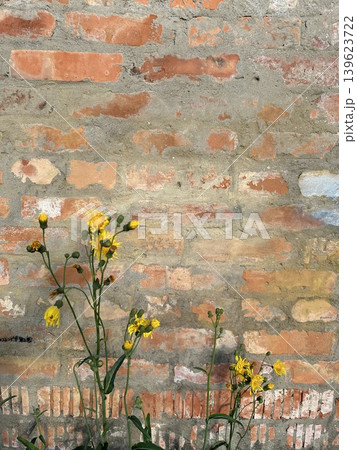 Brick wall and flowers. Alignment of yellow stones and flowers. Brick wall and flowers. Alignment of yellow stones and flowers. 139623722