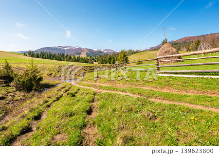 mountainous countryside landscape in spring. wooden fence and grassy meadow on a green hill. distant mountain ridge with snow capped tops. sunny weather with blue sky. natural carpathian image 139623800