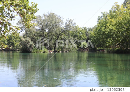 Picturesque Island in the Center of La Albufera de Anna Lagoon, Spain 139623984