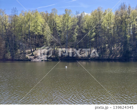 Peaceful Waters And Tranquil Horizon Scene. Silent Lake Stretching To Treeline Under Clear Blue Sky 139624345