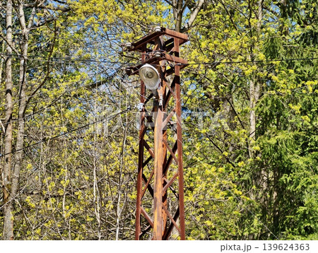 Ancient Metal Tower Among Trees. Abandoned Metal Framework With Vines And Perched Birds In Woodland 139624363