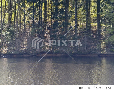 Tranquil Pine Trees Mirrored On Calm Surface. Silent Lakeside Scene With Reflected Trees And Gentle Ripples 139624378