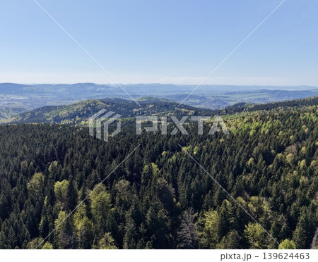Valley Lush Corridor. Vibrant Canopy Over Valley Leading To Remote Communities Seen In Distance 139624463