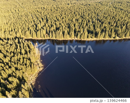 Tranquil Lake Mirrors Thick Forest With Sunlight Creating Soothing And Inspiring Landscape Tranquil Lake Mirrors Thick Forest With Sunlight Creating Soothing And Inspiring Landscape 139624466