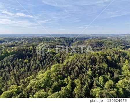Vast Canopy Of Leafy Trees Extends Far. Rich Layered Forest Spreading To Distant Horizon Graceful 139624476