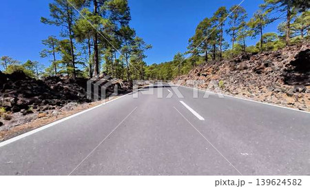 A picturesque and scenic mountain road that is beautifully surrounded by tall pine trees, A picturesque and scenic mountain road that is beautifully surrounded by tall pine trees, 139624582