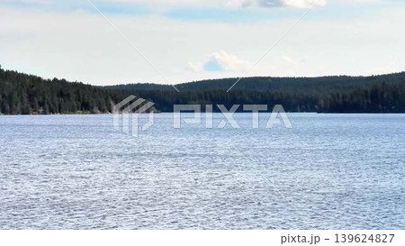 Enjoy Serene and Picturesque Lake Views Surrounded by Beautiful, Lush Green Forests Enjoy Serene and Picturesque Lake Views Surrounded by Beautiful, Lush Green Forests 139624827