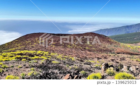 Enjoy breathtaking greenery and a dramatic mountain view for a unique adventure experience Enjoy breathtaking greenery and a dramatic mountain view for a unique adventure experience 139625013