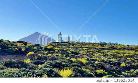 A Stunning and Vibrant Landscape Featuring a Beautiful Road with a Mountain View 139625014