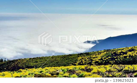 Experience stunning mountain views above the clouds, surrounded by vibrant, beautiful flowers Experience stunning mountain views above the clouds, surrounded by vibrant, beautiful flowers 139625023
