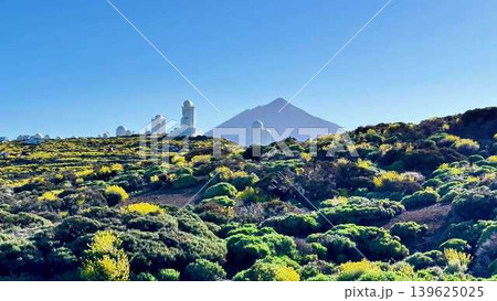 Explore a Scenic Road Enveloped by Blooming Flora with a Majestic Mountain Background Explore a Scenic Road Enveloped by Blooming Flora with a Majestic Mountain Background 139625025