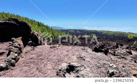 Experience the stunning beauty of a lava landscape adorned with lush and vibrant vegetation Experience the stunning beauty of a lava landscape adorned with lush and vibrant vegetation 139625059