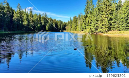 A Peaceful Reflection in a Beautiful Serene Forest Lake Surrounded by Natures Splendor A Peaceful Reflection in a Beautiful Serene Forest Lake Surrounded by Natures Splendor 139625201