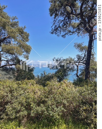 Scenic view of a tranquil lake surrounded by lush greenery and tall Scenic view of a tranquil lake surrounded by lush greenery and tall 139625851