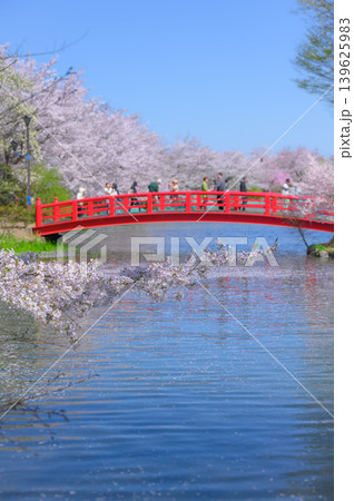 【臥竜公園】春の竜ヶ池【須坂市】 【臥竜公園】春の竜ヶ池【須坂市】 139625983