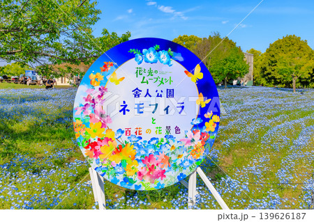 東京 足立区 舎人公園 ネモフィラ花壇 東京 足立区 舎人公園 ネモフィラ花壇 139626187
