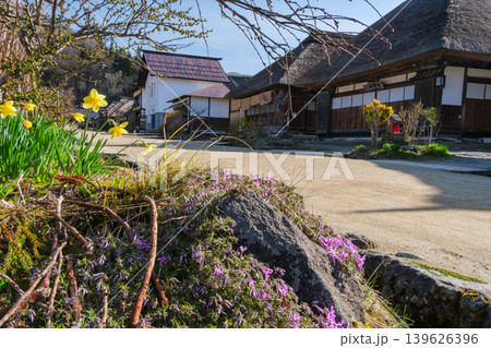 茅葺屋根とスイセン 茅葺屋根とスイセン 139626396