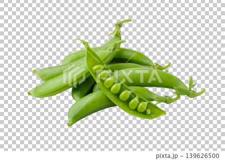 剪紙材料,包括露出豆莢的甜豌豆。 剪紙材料,包括露出豆莢的甜豌豆。 139626500