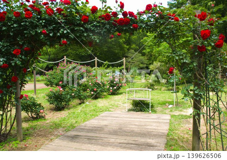 代々木公園 代々木公園 139626506