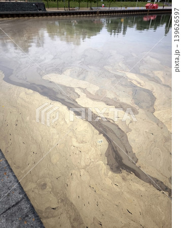 A layer of yellow pollen on the surface of the lake. A layer of yellow pollen on the surface of the lake. 139626597