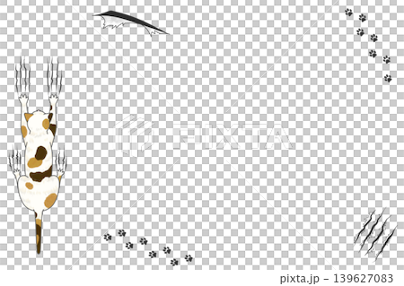 イタズラする猫とひっかき傷のセット素材 139627083