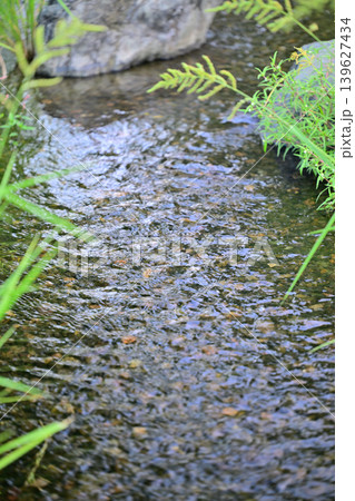 水と時の広場 水辺 平成の森公園 川島町 水と時の広場 水辺 平成の森公園 川島町 139627434