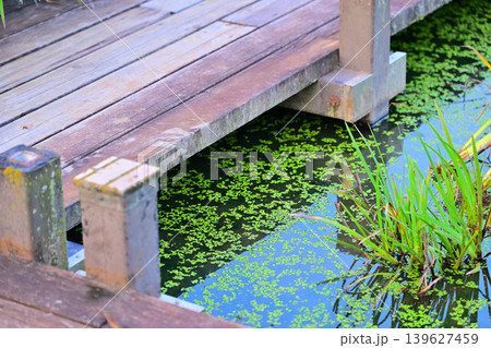 水と時の広場 水辺 平成の森公園 川島町 水と時の広場 水辺 平成の森公園 川島町 139627459