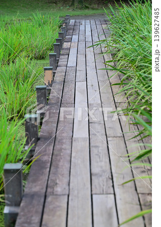 水と時の広場 水辺 平成の森公園 川島町 水と時の広場 水辺 平成の森公園 川島町 139627485