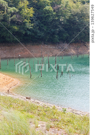 真夏の翠明湖 糀屋ダム 水没林 真夏の翠明湖 糀屋ダム 水没林 139627549