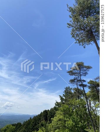 青空と木々が広がる日本の自然パノラマ風景 青空と木々が広がる日本の自然パノラマ風景 139627575