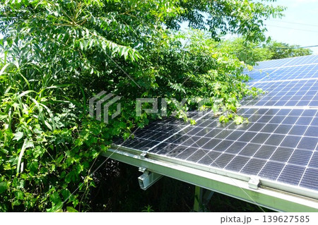 木に覆われ影響を受けた太陽光パネル 木に覆われ影響を受けた太陽光パネル 139627585