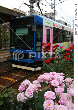 バラが咲き乱れる都電荒川線 139628271