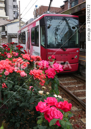 バラが咲き乱れる都電荒川線 139628272