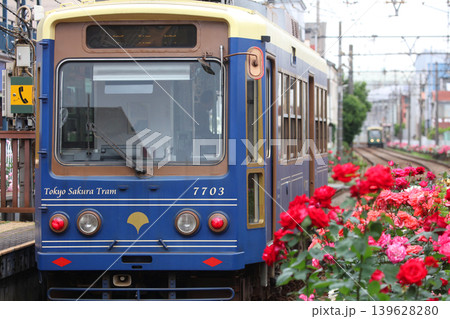 バラが咲き乱れる都電荒川線 139628280