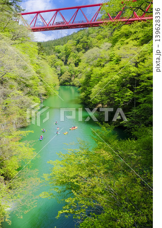 新緑の駒形峡渓谷(縦) 新緑の駒形峡渓谷(縦) 139628336