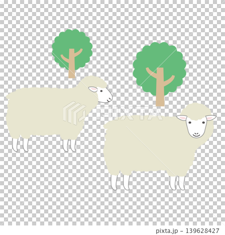 白いヒツジ2匹 イラスト 白いヒツジ2匹 イラスト 139628427