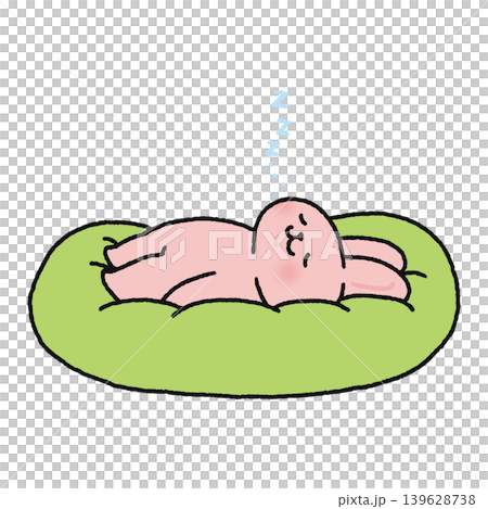 ふわふわクッションの上で眠るかわいいウサギ ふわふわクッションの上で眠るかわいいウサギ 139628738