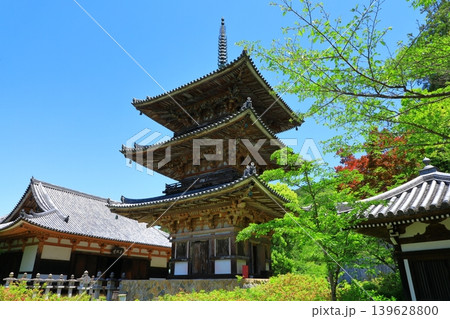 新緑の壷阪寺 139628800