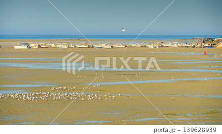 Manama, Bahrain - Jan 15 2024, Panoramic view of shoal with lots of seagulls and seabirds, in the background there are boats stranded, next to fortress of Qalat Al Bahrain, at daytime, Manama, Bahrain 139628939
