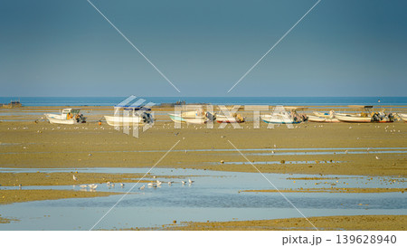 Manama, Bahrain - Jan 15 2024, Panoramic view of shoal with lots of seagulls and seabirds, in the background there are boats stranded, next to fortress of Qalat Al Bahrain, at daytime, Manama, Bahrain 139628940
