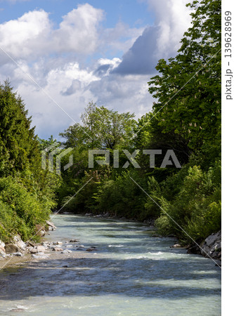 Sunlit Alpine Stream Flowing Through Dense Green Forest in Spring 139628969