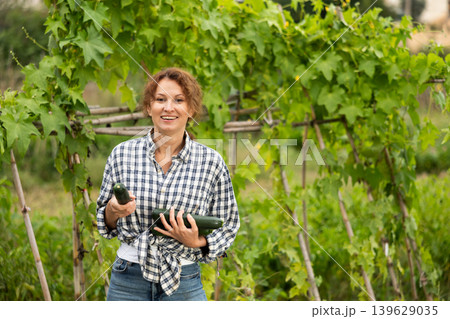 Middle-aged woman is working in garden between beds, picking ripe zucchini Middle-aged woman is working in garden between beds, picking ripe zucchini 139629035