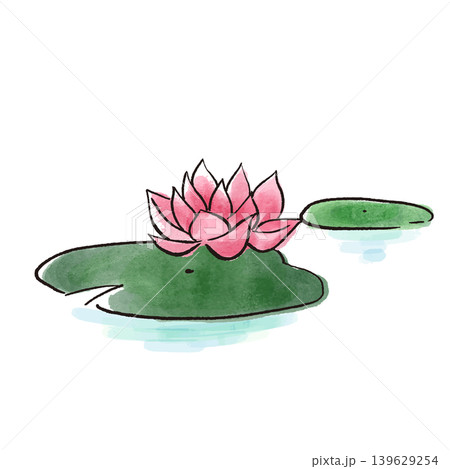 水に浮かぶピンクの睡蓮の花と葉 水彩 水に浮かぶピンクの睡蓮の花と葉 水彩 139629254