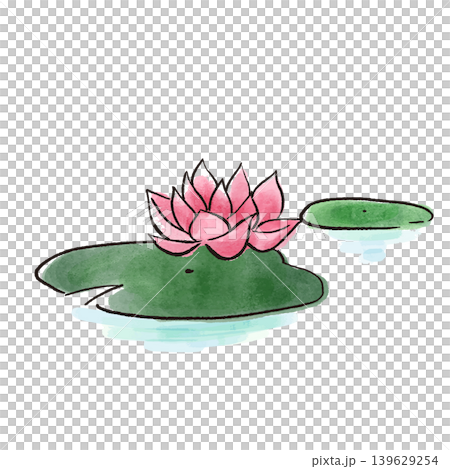水に浮かぶピンクの睡蓮の花と葉 水彩 水に浮かぶピンクの睡蓮の花と葉 水彩 139629254
