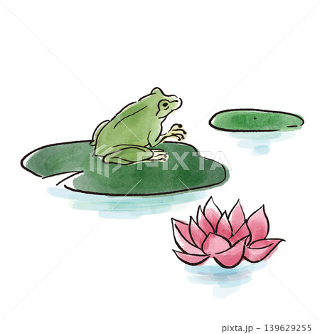 睡蓮の花と葉の上に座るカエル　水彩 139629255
