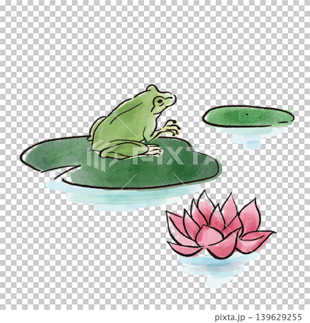睡蓮の花と葉の上に座るカエル　水彩 139629255