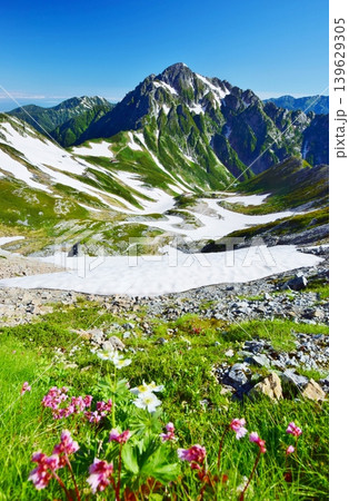 花咲く立山縦走路から望む剱岳 花咲く立山縦走路から望む剱岳 139629305