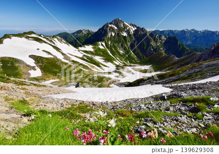 花咲く立山縦走路から望む剱岳 139629308
