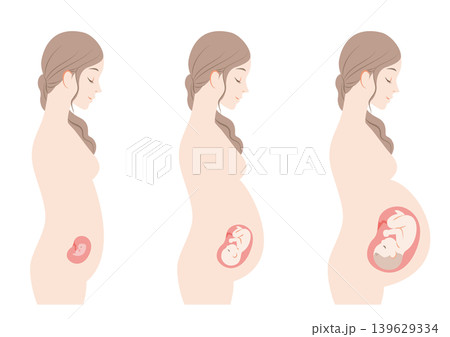 妊娠している女性　初期・中期・後期 139629334